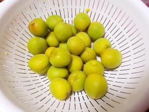 梅子的保健作用和功效,梅子功效