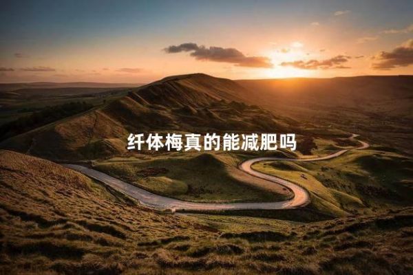 纖體梅真的能減肥嗎