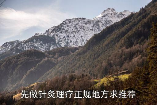 先做针灸理疗正规地方求推荐