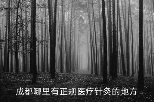 成都哪里有正规医疗针灸的地方