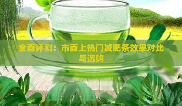 全面評測：市面上熱門減肥茶效果對比與選購