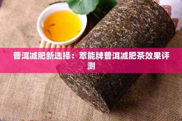 普洱减肥新选择：萃能牌普洱减肥茶效果评测