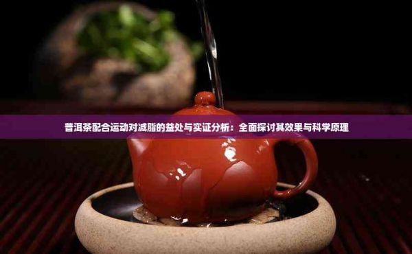 普洱茶配合运动对减脂的益处与实证分析：全面探讨其效果与科学原理