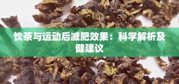 飲茶與運動后減肥效果：科學解析及健建議