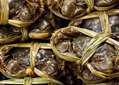 螃蟹相克的食物比较多 那么螃蟹和苹果能一起吃吗？
