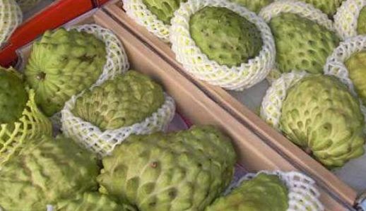 吃釋迦果禁忌（釋迦果與什么食物相克）