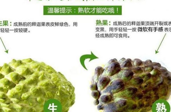 吃釋迦果禁忌（釋迦果與什么食物相克）