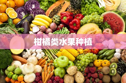 柑橘類水果種植