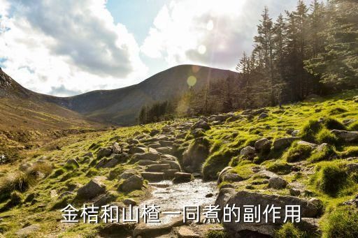  金桔和山楂一同煮的副作用