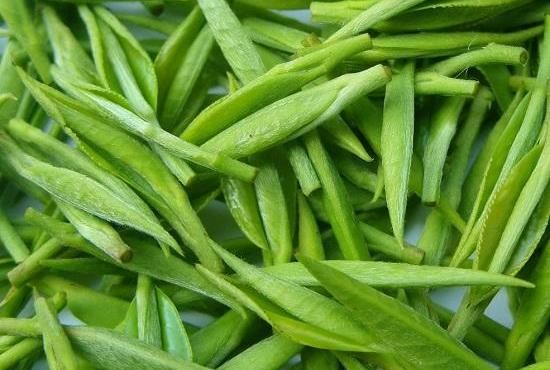 拆封后的綠茶葉如何存放？保存綠茶的禁忌與注意事項