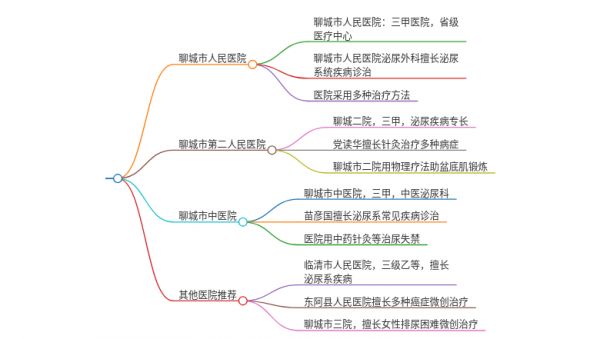 2025年山東聊城治療尿失禁的醫(yī)院有哪些