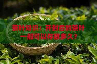 茶叶知识：开封后的茶叶一般可以存放多久？