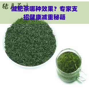 减肥茶哪种效果?专家支招健康减重秘籍