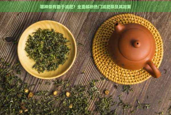 哪种茶有助于减肥?全面解析热门减肥茶及其效果