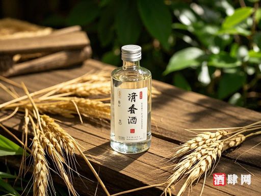 茶與減肥：科學(xué)解析茶的瘦身秘密