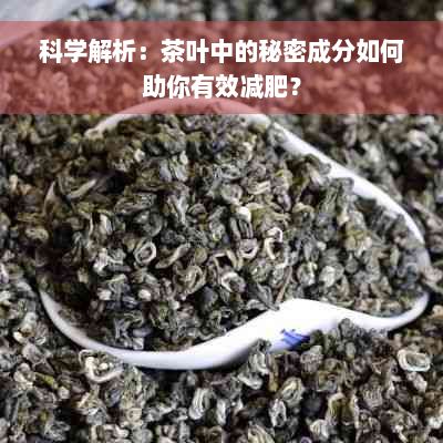 科學(xué)解析：茶葉中的秘密成分如何助你有效減肥？
