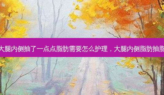 大腿内侧抽了一点点脂肪需要怎么护理,大腿内侧脂肪抽脂-第1张图片-美呗严选网