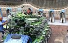 多地宣布：公共自行车项目停止运营，退钱！