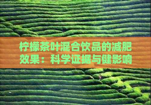 檸檬茶葉混合飲品的減肥效果：科學(xué)證據(jù)與健影響