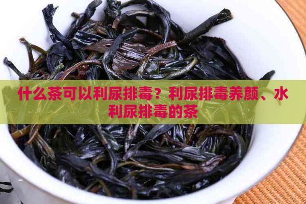 什么茶可以利尿排？利尿排養(yǎng)顏、水利尿排的茶