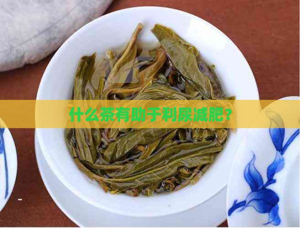 什么茶有助于利尿減肥？