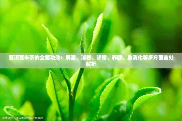 普洱薏米茶的全面功效：解渴、消暑、降脂、養(yǎng)顏、助消化等多方面益處解析