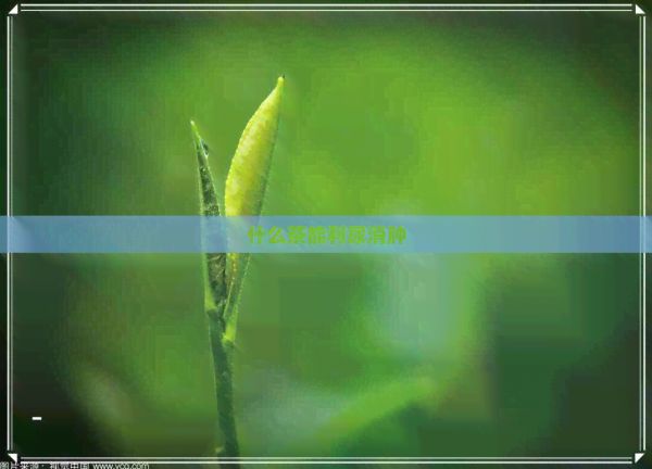 什么茶能利尿消腫