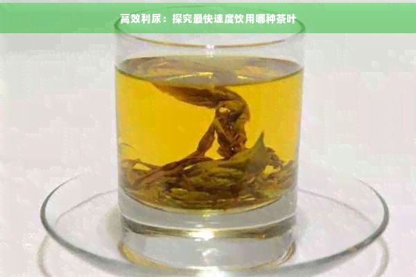 高效利尿:探究最快速度飲用哪種茶葉