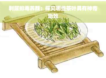 利尿排養(yǎng)顏:探究哪些茶葉具有神奇功效