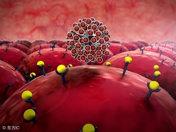 降脂抗癌,枸杞的好处多多,只会泡水你就亏了