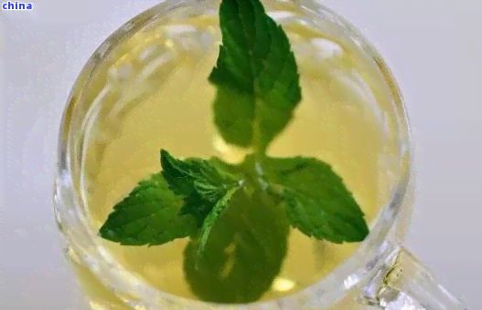 普洱薄荷茶的全面功效與作用：為何它是健飲品中的佼佼者？