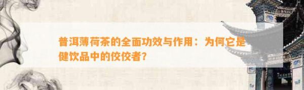 普洱薄荷茶的全面功效與作用：為何它是健飲品中的佼佼者？