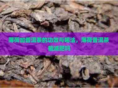 薄荷加普洱茶的功效與喝法，薄荷普洱茶能減肥嗎