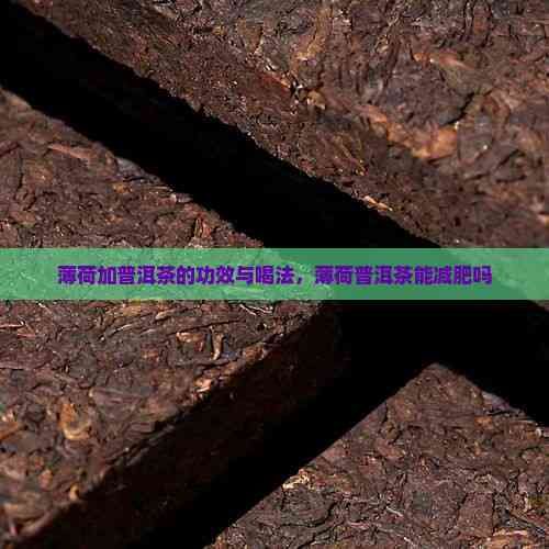 薄荷加普洱茶的功效與喝法，薄荷普洱茶能減肥嗎