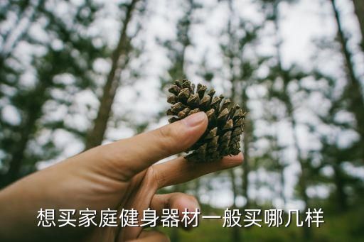 想買家庭健身器材一般買哪幾樣