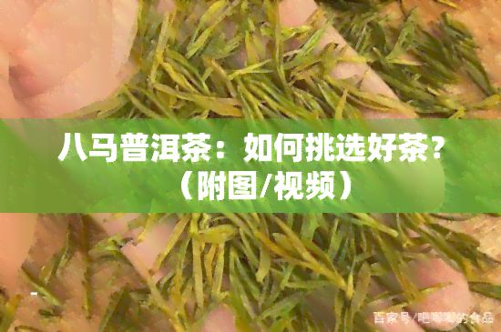 八马普洱茶:怎样挑选好茶?(附图/视频)