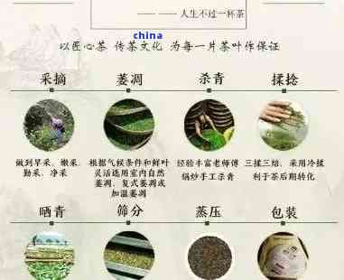 福今普洱茶葉的選購指南：如何挑選優(yōu)質(zhì)及實(shí)的產(chǎn)品