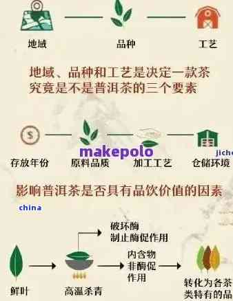 如何選擇藥店中的優(yōu)質(zhì)普洱茶？了解購(gòu)買(mǎi)和品質(zhì)判斷的關(guān)鍵要素