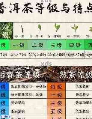 如何選擇藥店中的優(yōu)質(zhì)普洱茶？了解購(gòu)買(mǎi)和品質(zhì)判斷的關(guān)鍵要素