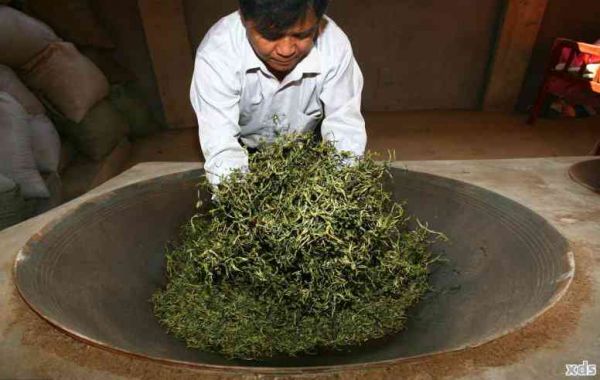 怎样选购购买藏的普洱茶茶叶，藏区普洱茶选购指南：怎样买到优质的藏茶？