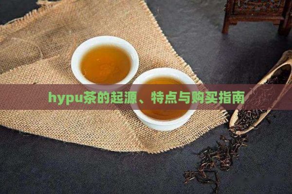 hypu茶的起源、特點與購買指南