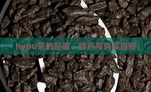 hypu茶的起源、特點與購買指南