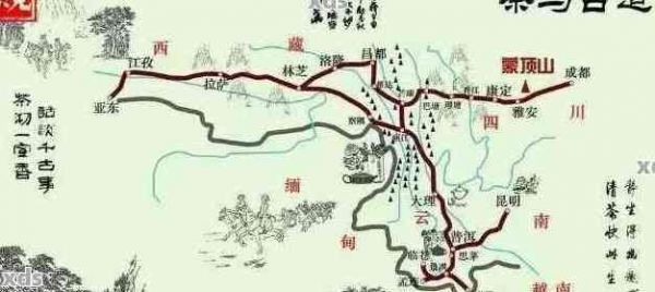 '云南普洱茶歷起源與發(fā)展：一跨越千年的傳奇故事'