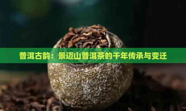 普洱古韻：景邁山普洱茶的千年傳承與變遷