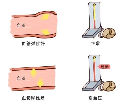 健康100問第二十二期