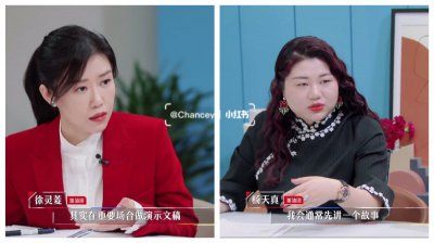 徐靈菱和楊天真教你做職場ppt以及公開演講