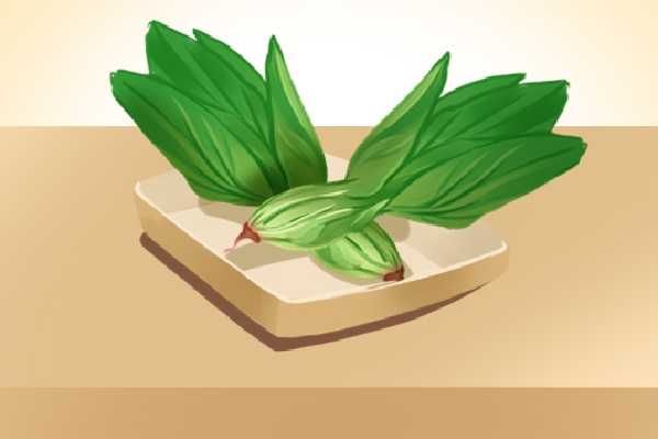 青菜有什么營養(yǎng)價值