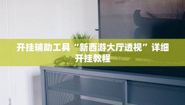 開(kāi)掛輔助工具“新西游大廳透視”詳細(xì)開(kāi)掛教程