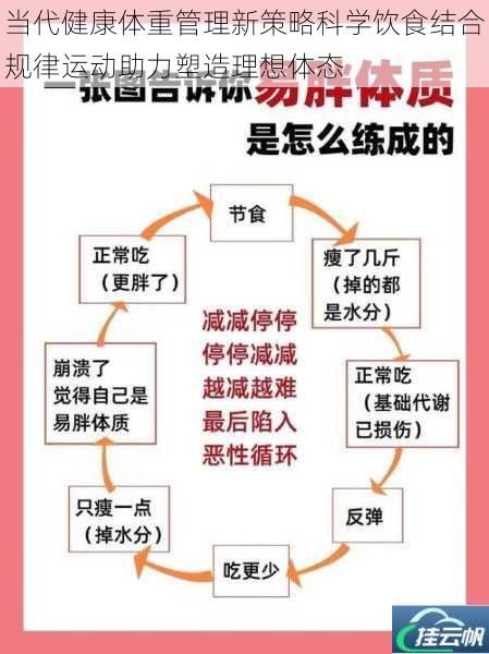當代健康體重管理新策略科學飲食結(jié)合規(guī)律運動助力塑造理想體態(tài)