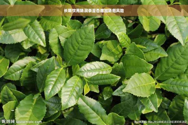 長(zhǎng)期飲用腸潤(rùn)茶是否增加腸癌風(fēng)險(xiǎn)